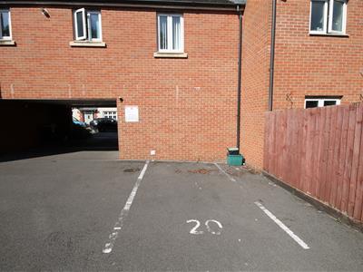 Picture 16
